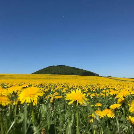 Гостевой дом Und Schuette 3*