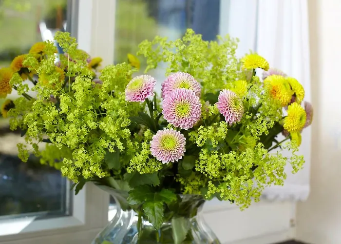 Vendégház Und Schuette