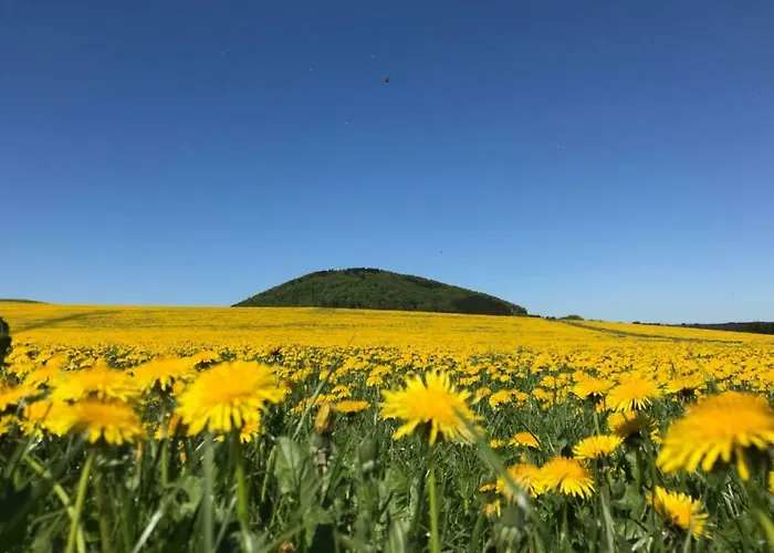 Penzion Und Schuette 3*