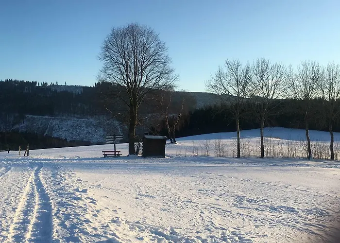 Und Schuette Penzion 3*